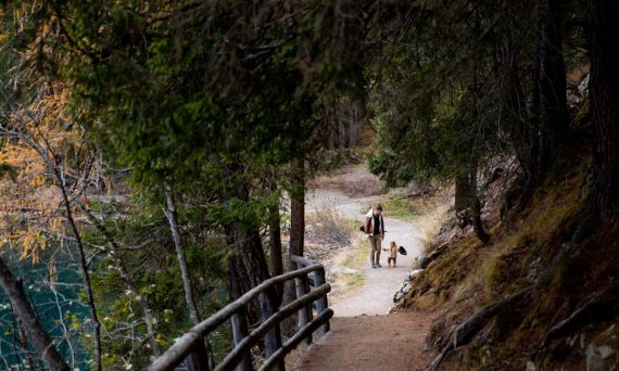 A father and child enjoy a walk with their dog on a scenic forest trail in autumn.